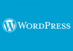 WordPress Yazı Sürümlerini Kapatmak ve Silmek