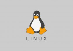 Linux’ta Dosyalar ve Komutlarla Temel İşlemler
